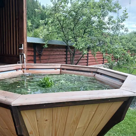 еко будинок в горах * Verkhnyaya Bystra