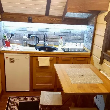 еко будинок в горах Verkhnyaya Bystra