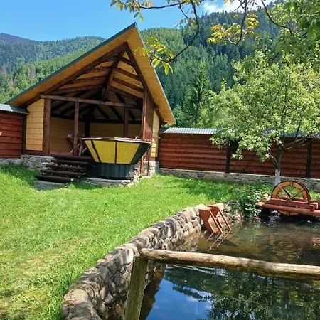 еко будинок в горах * Verkhnyaya Bystra